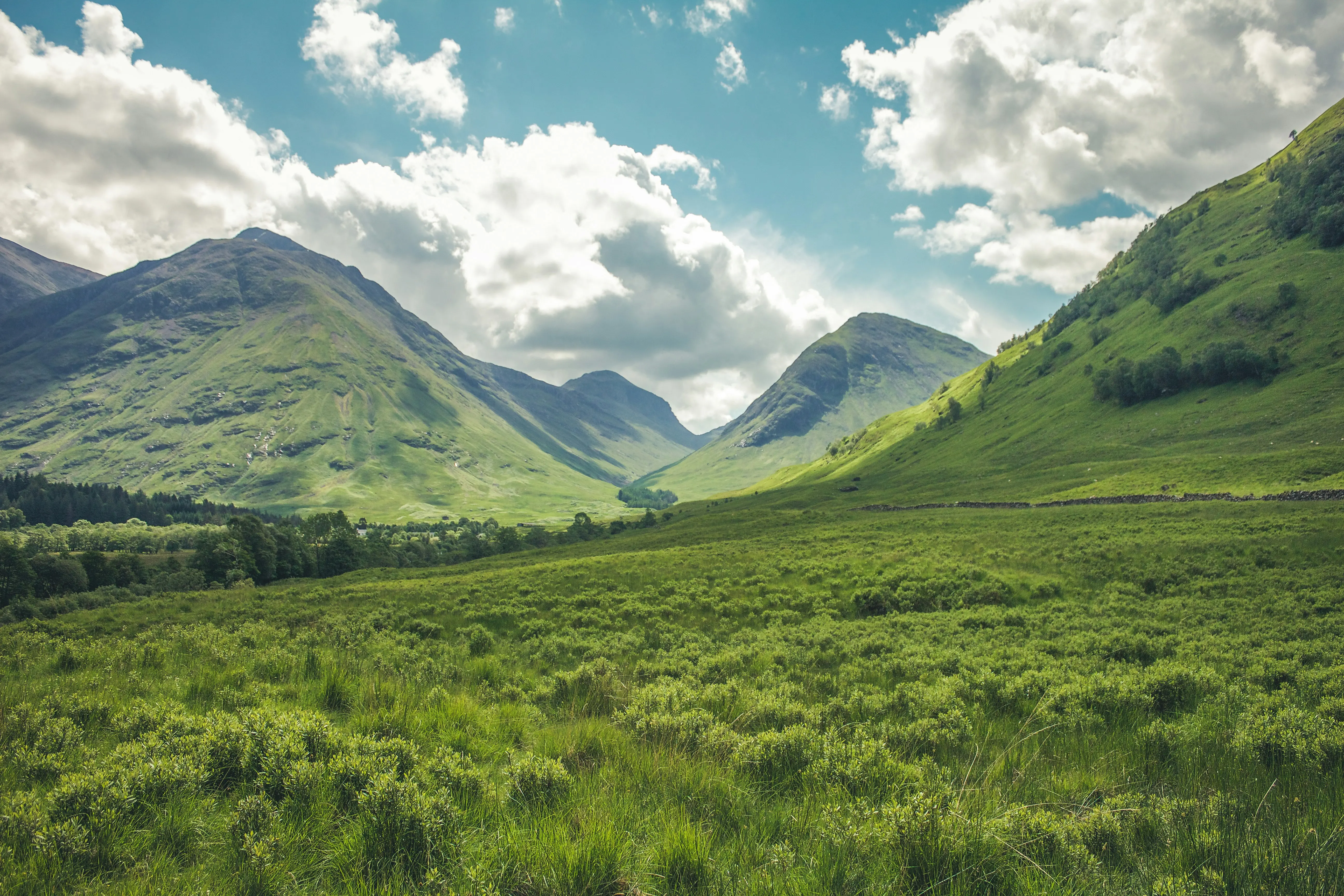 scenic background